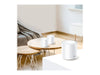 TP-Link Mesh-WiFi-System – Schnelles WLAN für das ganze Büro