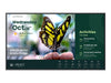 BenQ 43" Display – 4K-UHD, LED-Hintergrundbeleuchtung