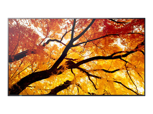 Sharp 55" Display – Großbildschirm für Präsentationen
