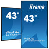 Iiyama 43" 4K Monitor – Klare Bilder, weite Blickwinkel