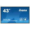 Iiyama 43" 4K Monitor – Klare Bilder, weite Blickwinkel