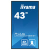 Iiyama 43" 4K Monitor – Klare Bilder, weite Blickwinkel