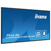 Iiyama 50" 4K Display – Android, LED für Digital Signage