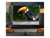 LG 85" QNED Smart TV – 4K UHD, Mini-LED, HDR10