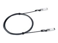 LANCOM 100G Direktanschlusskabel – 3 m, für schnelle Netzwerkverbindungen