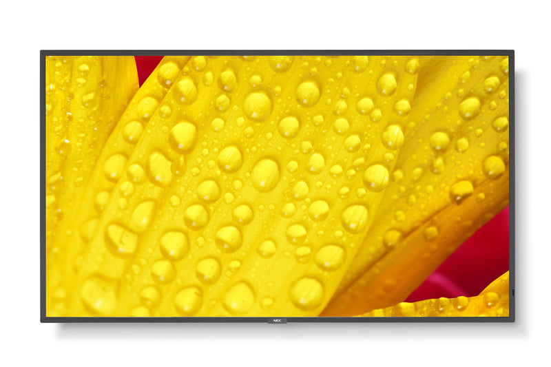 NEC 65" Display – 4K UHD, LED-Hintergrundbeleuchtung