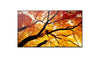 Sharp 32" Monitor – Full HD, ideal für Büroarbeit