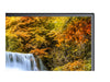 Sharp 24" Monitor – Full HD, IPS-Display