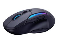 Turtle Beach Gaming-Maus – Ergonomisch, kabellos und kabelgebunden