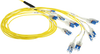 ACT Glasfaser-Netzwerkkabel – 50 m, halogenfrei, Single-Modus