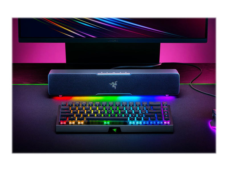 Razer Leviathan V2 X Soundbar – LED-Licht, Bluetooth