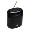 Harman Kardon JBL Tuner XL – Tragbarer Bluetooth-Lautsprecher mit Radio