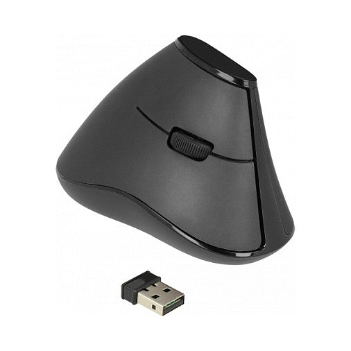 DELOCK Vertikale Maus – Ergonomisch, Kabellos für Rechtshänder
