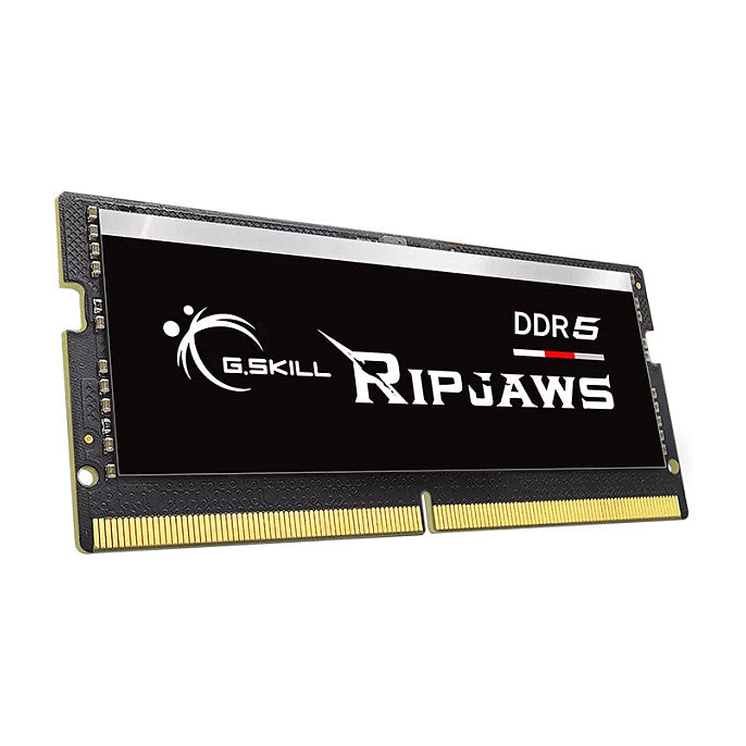 G.SKILL Ripjaws RAM-Modul – 32 GB DDR5 für schnelle Leistung