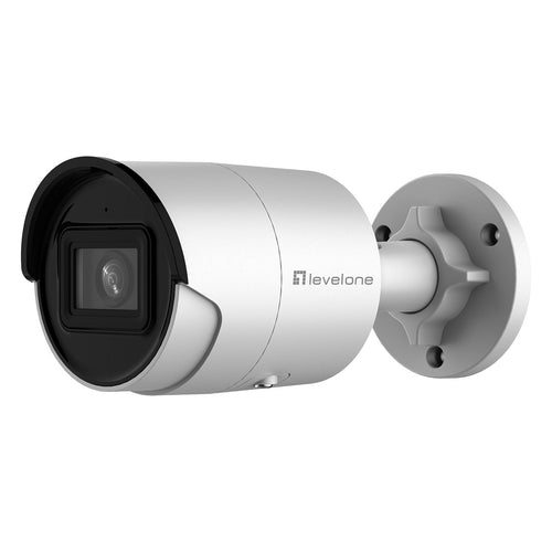 LevelOne Dome IP-Kamera – wetterfest, Tag&Nacht-Funktion