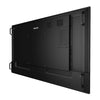 Philips 55" 4K UHD Display – Realistische Farben, starke Kontraste