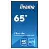 Iiyama 65" 4K Display – Ideal für Digital Signage, 24/7-Betrieb