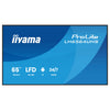 Iiyama 65" 4K-Display – Ideal für Präsentationen und Werbung