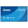 Iiyama 75" 4K Monitor – Großes Display für klare Bilder