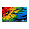 Philips 43" Hotel-TV – Smart TV mit Chromecast und Android