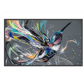 Philips 50" 4K-Display – Ideal für Präsentationen