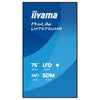 Iiyama 75" 4K-Display – Ideal für Digital Signage, Android OS