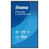 Iiyama 43" Display – 4K-UHD, ideal für Digital Signage