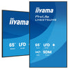 Iiyama 65" 4K-Display – Ideal für Präsentationen und Meetings