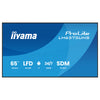 Iiyama 65" 4K-Display – Ideal für Präsentationen und Meetings