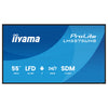 Iiyama 55" Display – 4K UHD, integrierter Mediaplayer