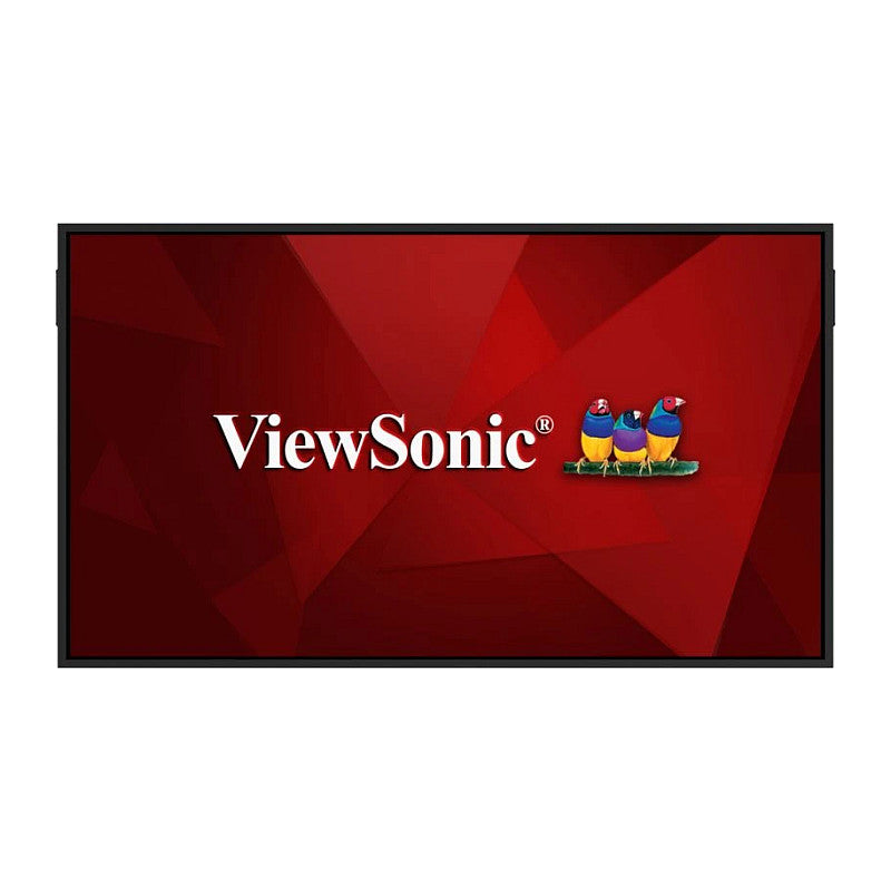 Viewsonic 65" Display – 4K UHD, ideal für Digital Signage
