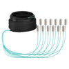 EFB Elektronik Glasfaser-Trunkkabel – 40 m, Multi-Modus, halogenfrei