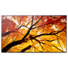 Sharp 32" Monitor – Full HD, ideal für Büroarbeit