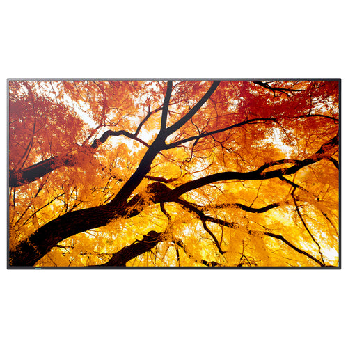Sharp 32" Monitor – Full HD, ideal für Büroarbeit