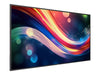 Philips 65" Display – 4K-Auflösung, LED-Hintergrundbeleuchtung