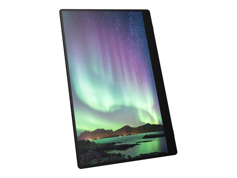 Ricoh 15,6" OLED-Monitor – Tragbar, Full HD