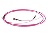 Advanced Cable Technology Glasfaser-Stammkabel – 25 m, geschirmt