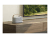 Sony Kabelloser TV-Lautsprecher – Mit Fernbedienung und Tragegriff