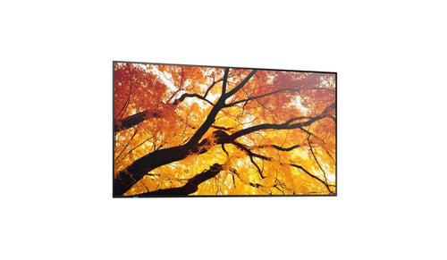 Sharp 32" Monitor – Full HD, ideal für Büroarbeit