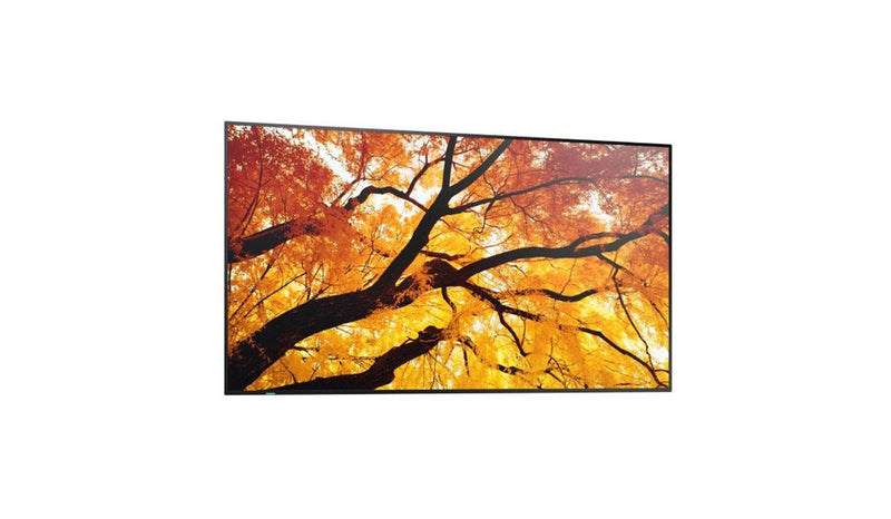 Sharp 32" Monitor – Full HD, ideal für Büroarbeit