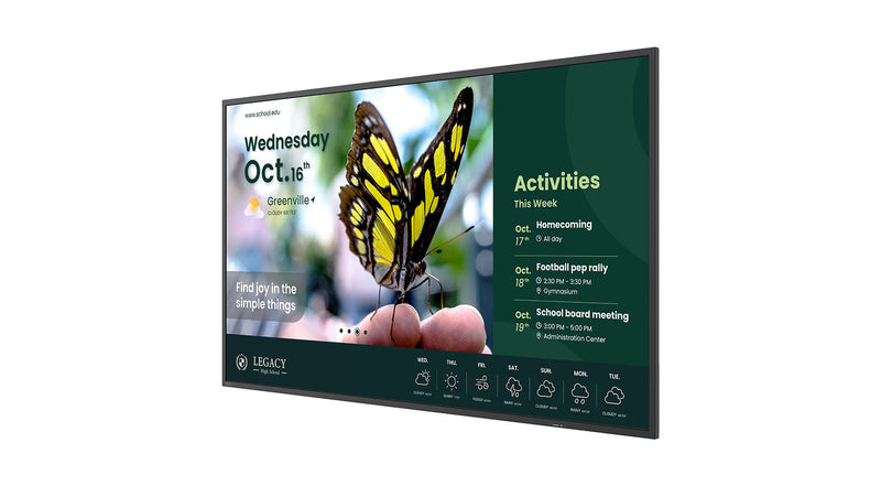 BenQ 43" Display – 4K-UHD, LED-Hintergrundbeleuchtung
