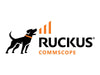 Ruckus Wireless Lizenz – Verwaltung für 1 Access Point