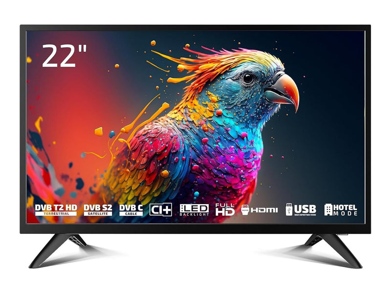DYON 22" LCD-TV – Full HD, LED-Hintergrundbeleuchtung