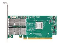 Nvidia Netzwerkadapter – 100 Gbit/s, PCIe 3.0