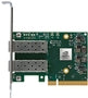 NVIDIA Netzwerkadapter – 25GbE, PCIe 4.0, Krypto-fähig
