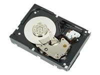 Dell Externe Festplatte – 300 GB Speicher für Backups
