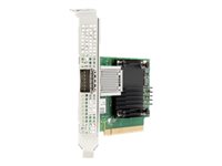 HP Enterprise Netzwerkadapter – 100 Gbps, PCI Express