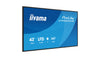 Iiyama 43" Display – 4K UHD, integrierter Mediaplayer