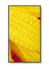 NEC 65" Display – 4K UHD, LED-Hintergrundbeleuchtung