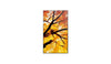 Sharp 32" Monitor – Full HD, ideal für Büroarbeit